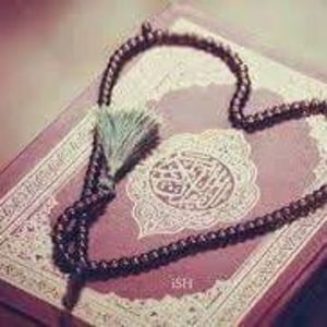 Meet your Posher, Maryama